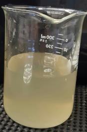 2017 04.20.2017 Fluid appearance Clear Turbid Precipitate at bottom None yes Fluid color Colorless Opaque light brown Fluid Odor None Organic smell ph 8.09 6.85 Specific gravity 1.001 1.