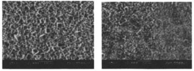 (a) without pretreatment (b) with pretreatment Figure 6 SEM images of cross section of PZT polycrystalline films deposited on Ti substrates with and without pretreatment.