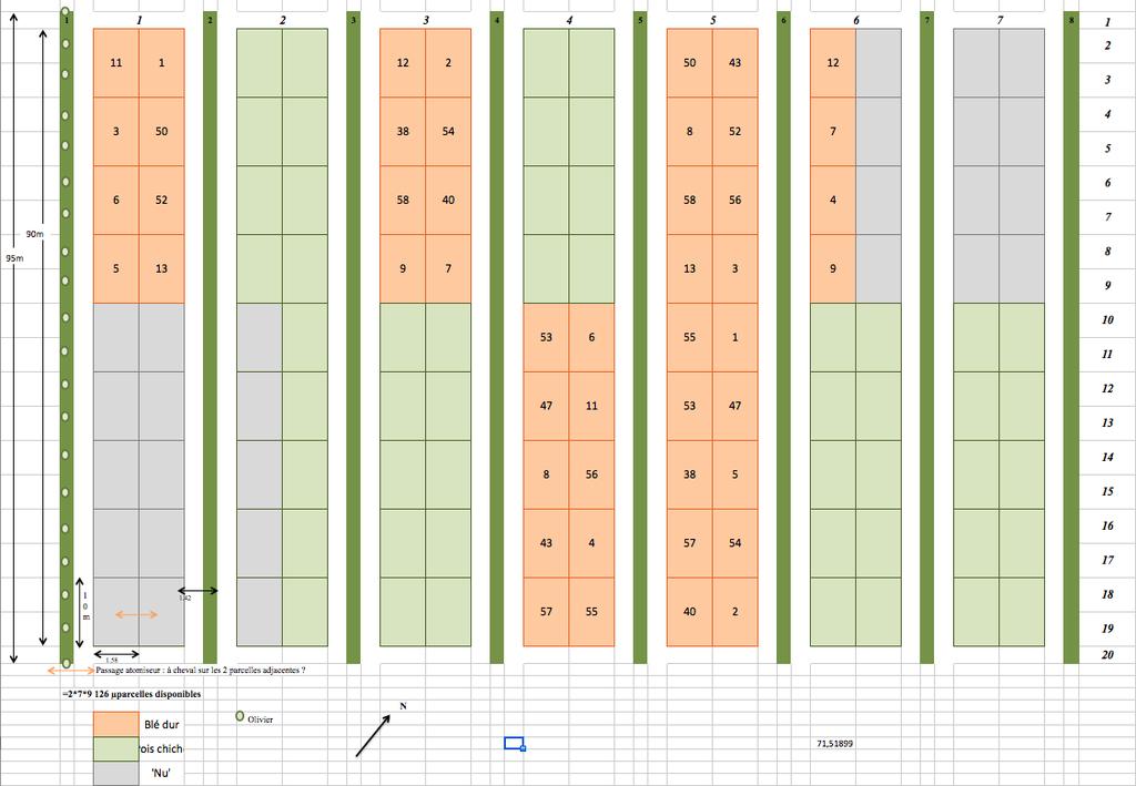Schematic layout of Field 13B