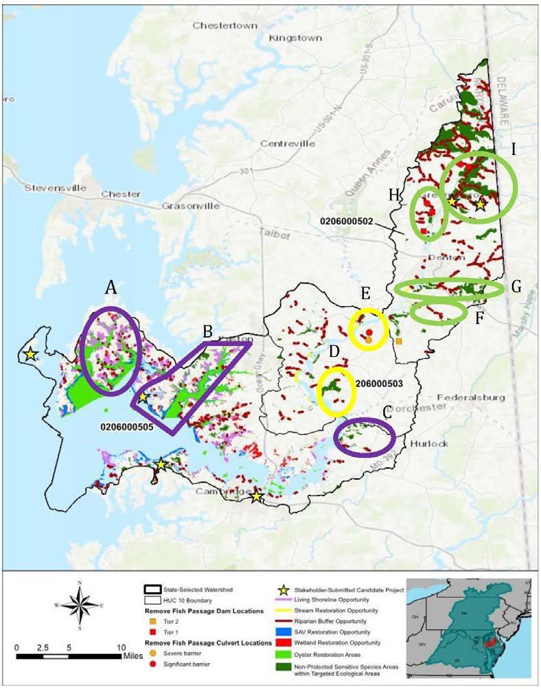 CHOPTANK RIVER (MD): Proposed Project Identification Focus Areas Choptank River Watershed Project Focus Areas Activity A B C D E F G H I Conservation Oyster Restoration Stream Restoration Riparian