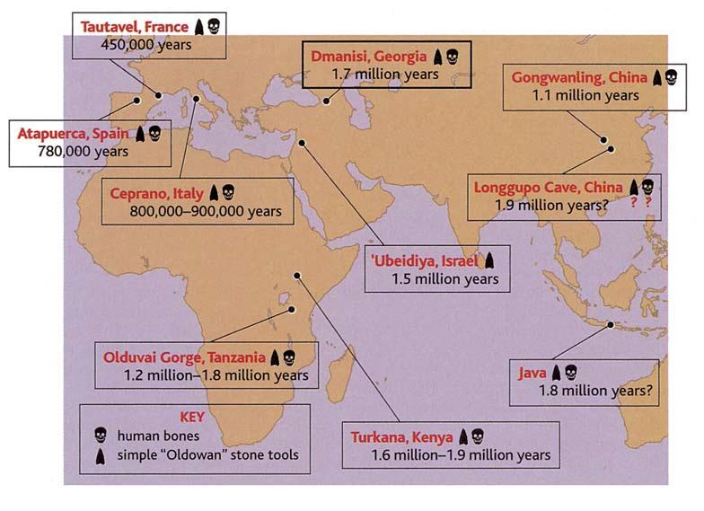 628 Global Change and Global Institutions Europe Africa Asia Age (million years) n Fig. 5.1.3. A The oldest human fossils and tools in southern Europe and Asia (Balter and Gibbons 2000).