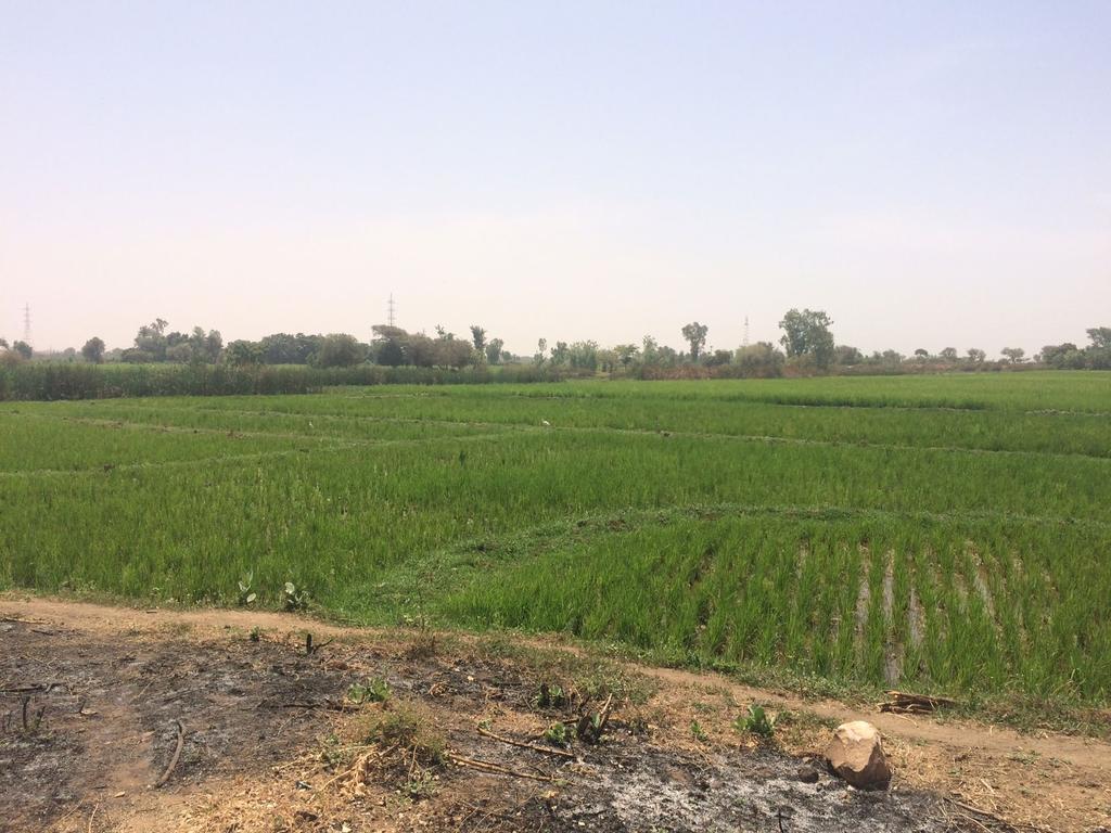 Sahel Irrigation Initiative Support Project Objective To improve stakeholders' capacity to develop and manage irrigation and to increase irrigated areas, including strengthening of IWRM in