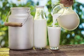 Background Indonesia s domestic milk demand was 3.