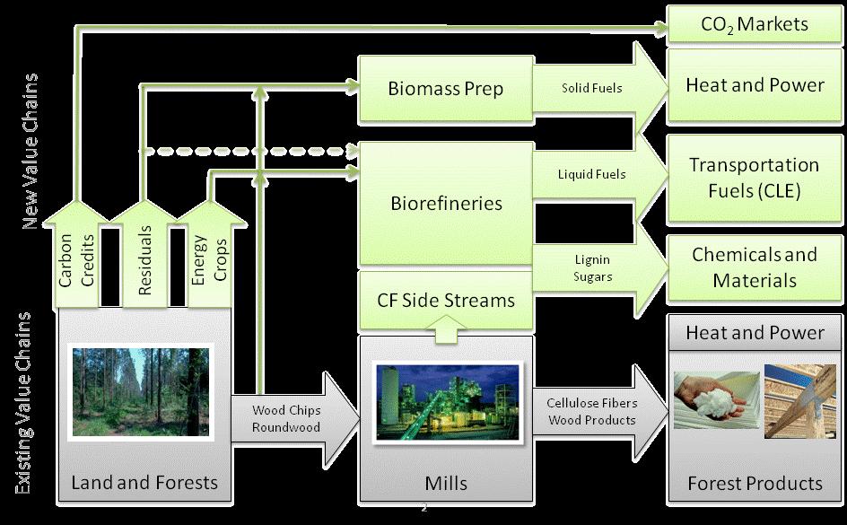 Many pathways and technologies exist for the development of Biorefineries from