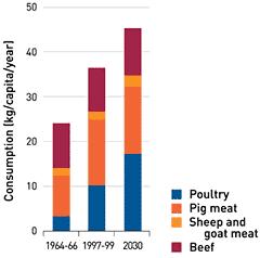 Consumption patterns and demand for livestock By 2030 more: 360m cattle & buffaloes 24% 560m sheep & goats 32% 190m