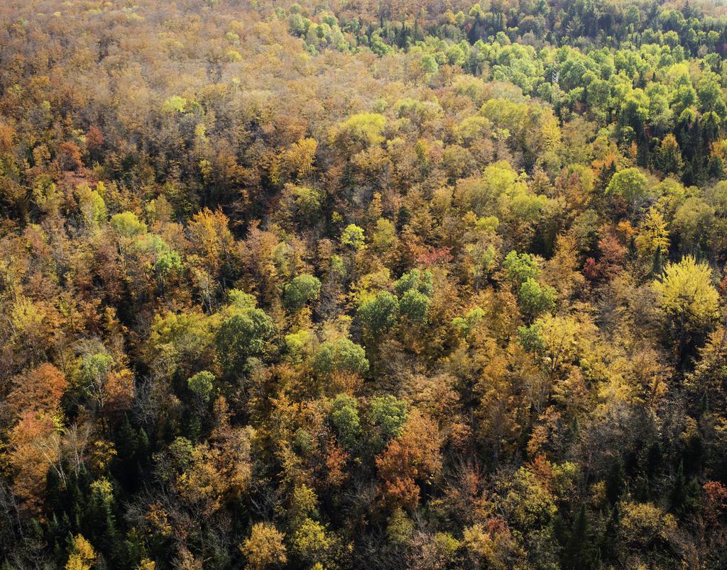 Some changes, like the progression of green summer leaves to bright red and gold fall foliage, or the annual return of migratory songbirds are expected.