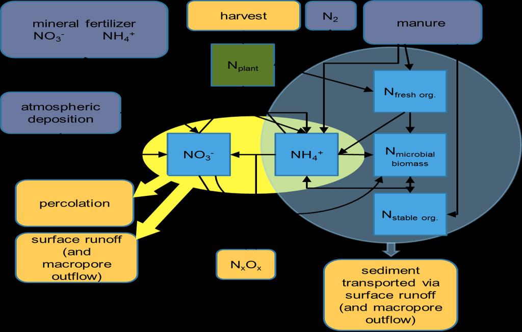 Nitrogen processes in ICECREAM model N processes simulated are: mineralization, nitrification,