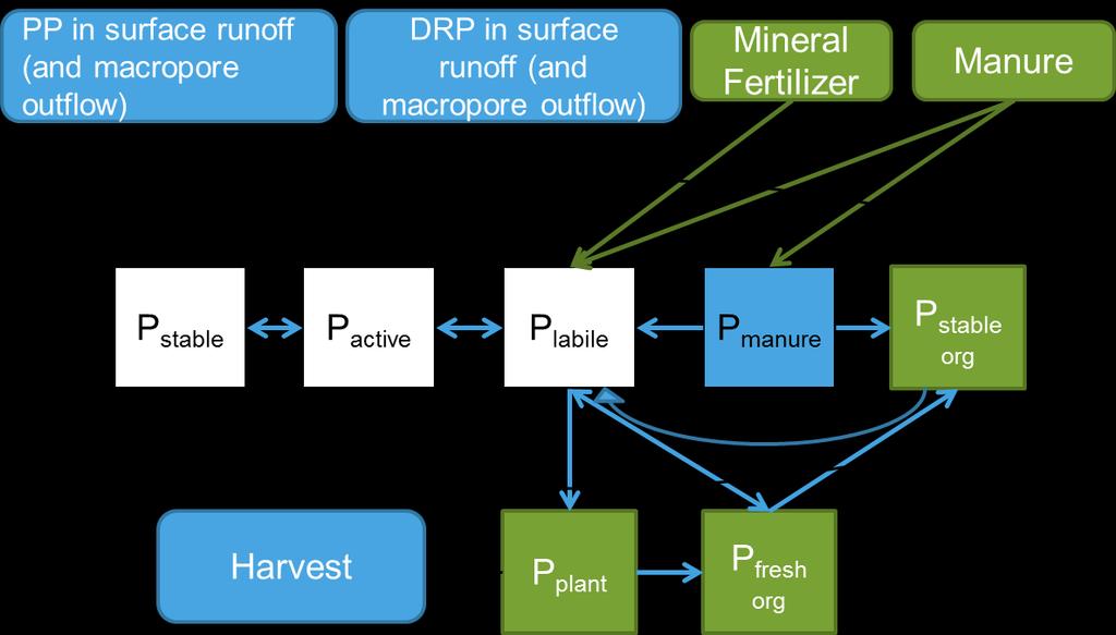 Phosphorus processes in ICECREAM P processes simulated: mineralization, immobilization, adsorption to soil particles related to clay content in the soil, P uptake depending on N:P ratios in the