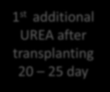 transplanting