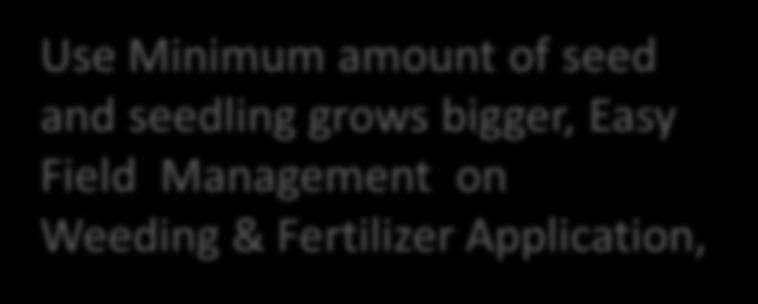 Use Minimum amount of seed and seedling