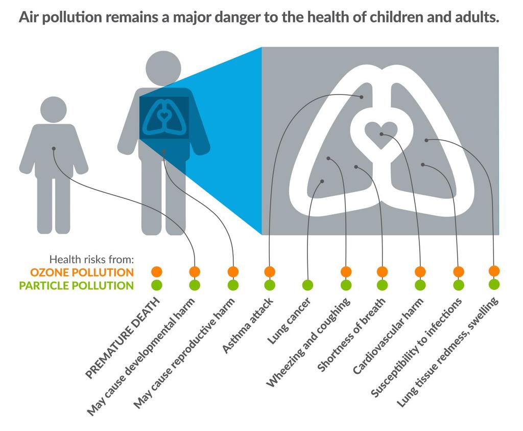 Health Effects of Particulate