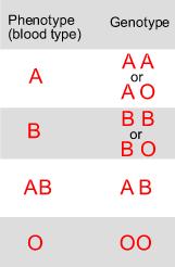 Four phenotypes A, B, AB, O c.