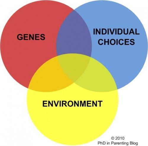VIII. Nature versus Nurture Genes versus Environment A.