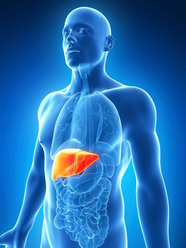 Hepatitis C Viral infection that attacks the liver Complications are slow to progress and can take 20-30 years Prevalence rate is about 1 % in Canada Higher incidence in men than women Canadian