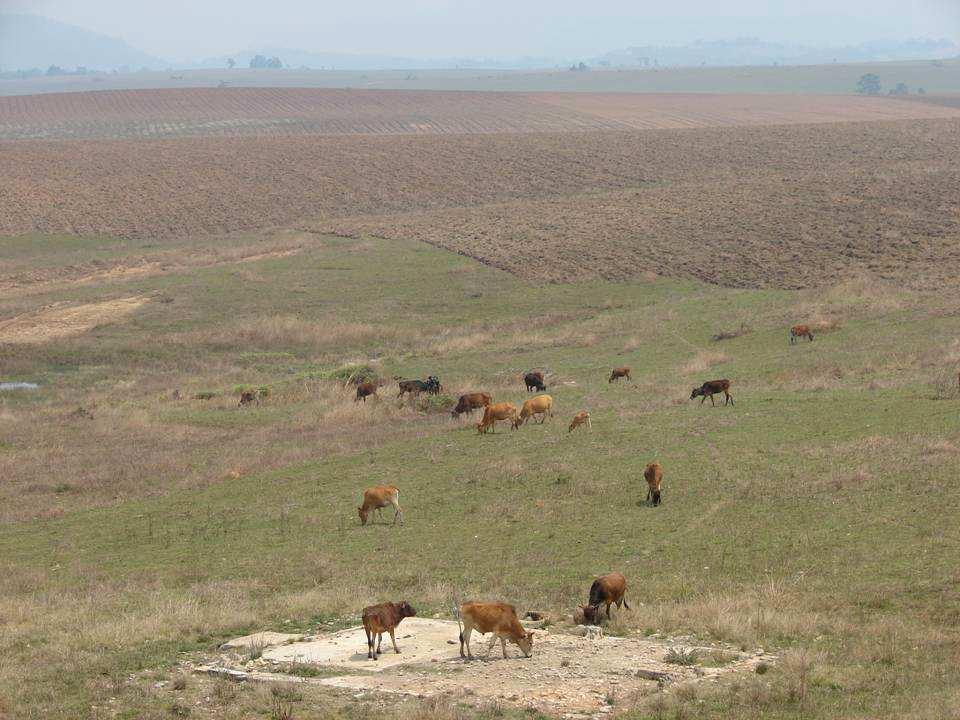 Main farming systems & current rural development strategies Plain of Jars (9-12m) Only 5% of total surface is