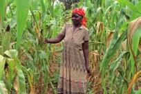 District, Kenya Box 1. The case of Nereah Sanya, a widow farmer from Busia My name is Nereah Sanya from Emasiebi Village, Busia District, Kenya. I am a widow of 39 years.