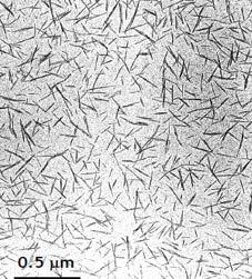 Novel technology for production of nanocrystalline
