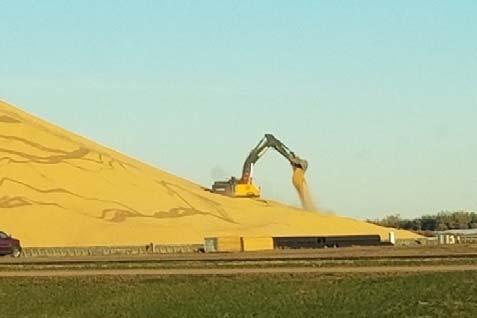 Until we meet agrain (or oilseeds) Picture of soybean pile in North Dakota-October 20th Ben Brown Program Manager: Ohio Farm Management Program College of Food, Agriculture, and Environmental