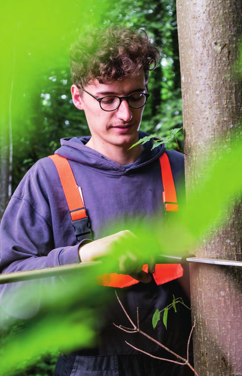 Study Forest Management for our future. Forest management in the 21 st century is an extremely modern production and service sector with a wide variety of tasks and social obligations.
