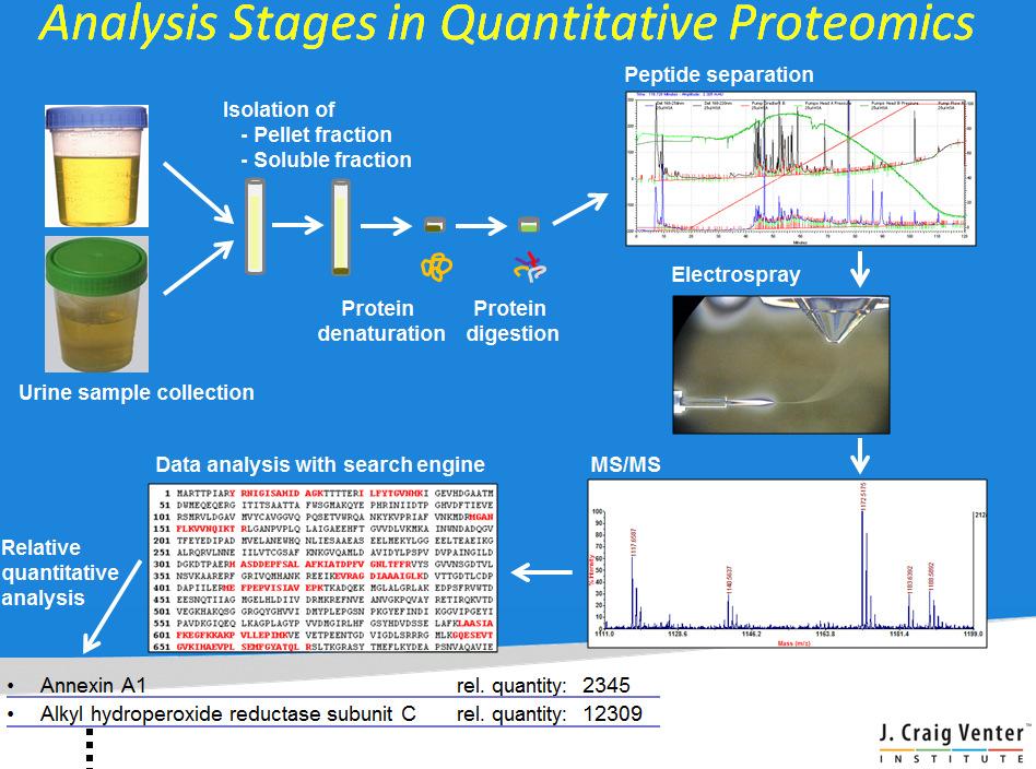 Brief training course summary: The proteomics training program focusses on shotgun proteomics and mass spectrometry.