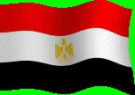 Key concerns of Egypt The growing demand for energy in Egypt and limited recourses of oil and natural gas mean that we must be more concerned with nuclear energy and with diversifying sources of