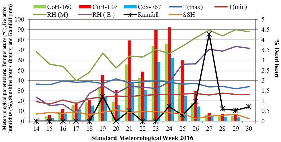 Fig. 1. Population dynamics of C. infuscatellus on sugarcane genotypes. humidity (morning), relative humidity (evening) andrainfall (r= -0.172, -0.206 and -0.147) on CoH 160, (r= -0.147, -0.