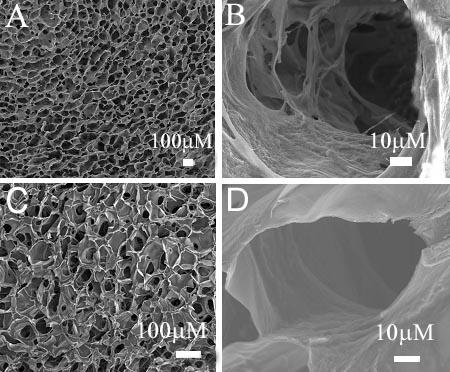 Microstructure of Chitosan-based Scaffolds B Chitosan composite Chitosan Mechanical and Swelling Properties Yield