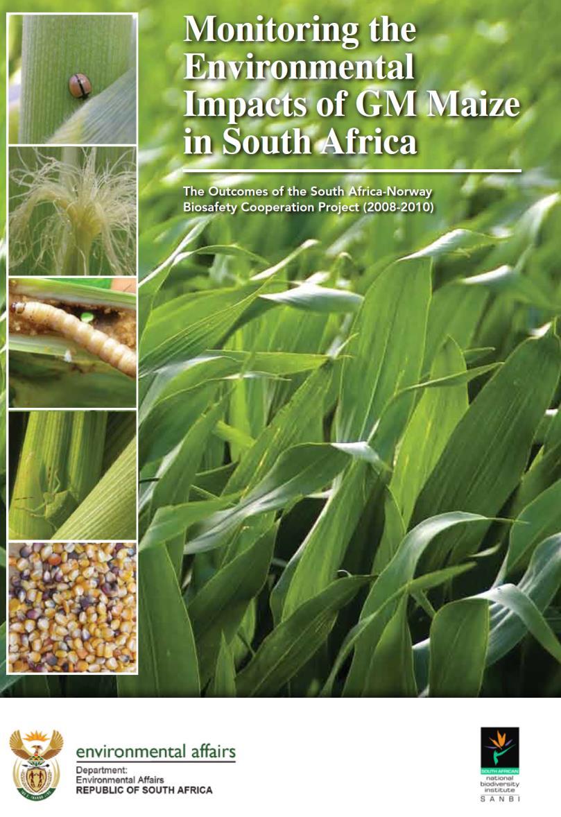 Monitoring the environmental impacts of GM maize is SA Key outcomes for MON810: Potential contribution to resistance development: Varying levels of Bt toxin production in different maize tissues;