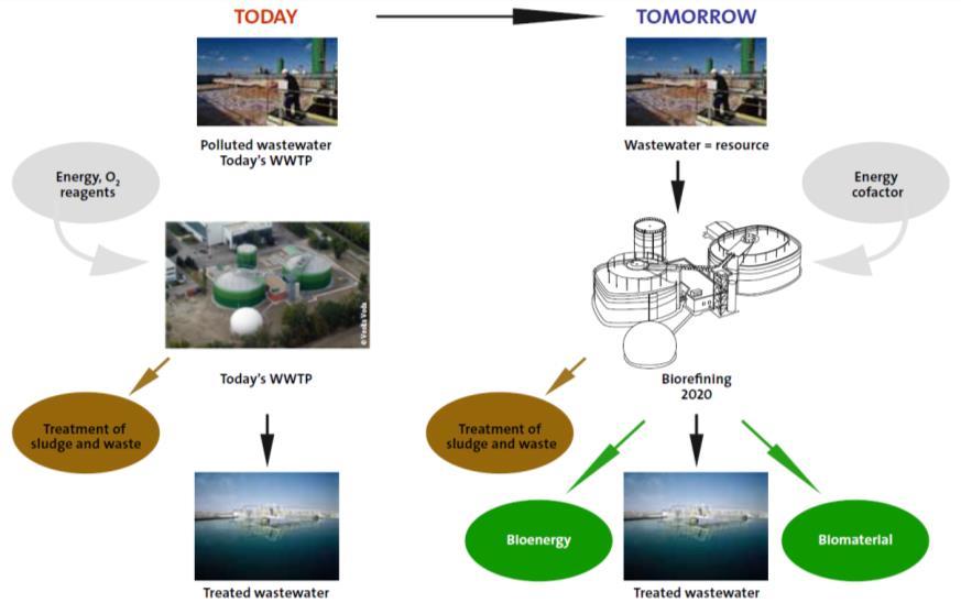 ANAEROBIC DIGESTION - WASTEWATER TREATMENT Over the next 10 years, wastewater
