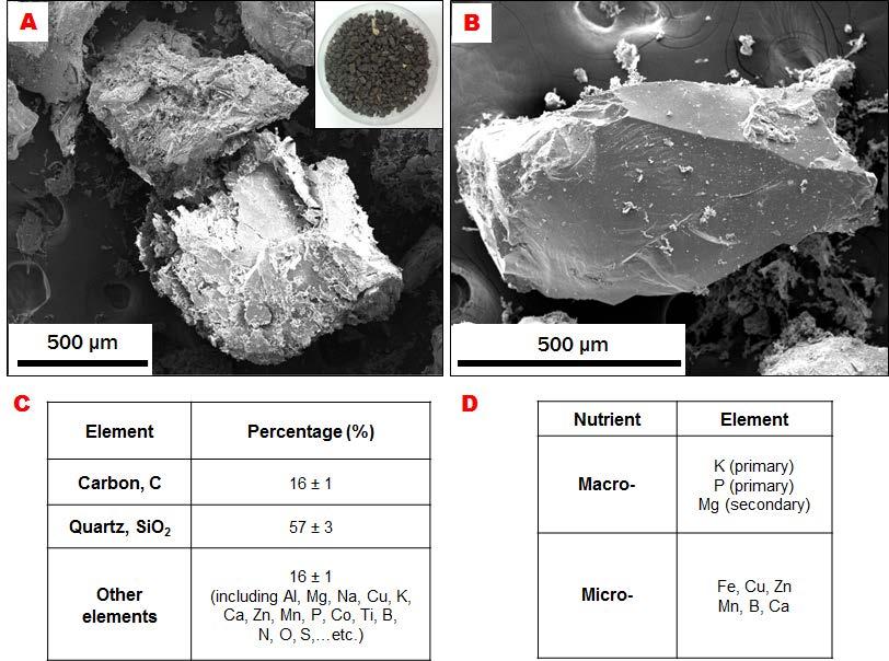 The morphology of the Sugarloaf graphite, its heterogeneous distribution and distinct physical characteristics suggests that the initial source of carbon and the subsequent metamorphic conditions