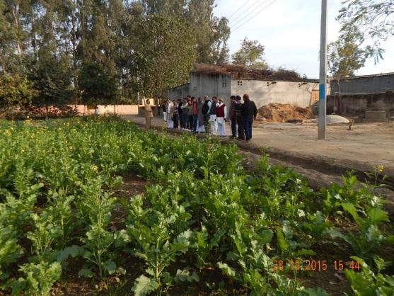 Date: 29/12/2015 4. Demonstration cum training programme of small agricultural farm implements to farm women for reducing drudgery.