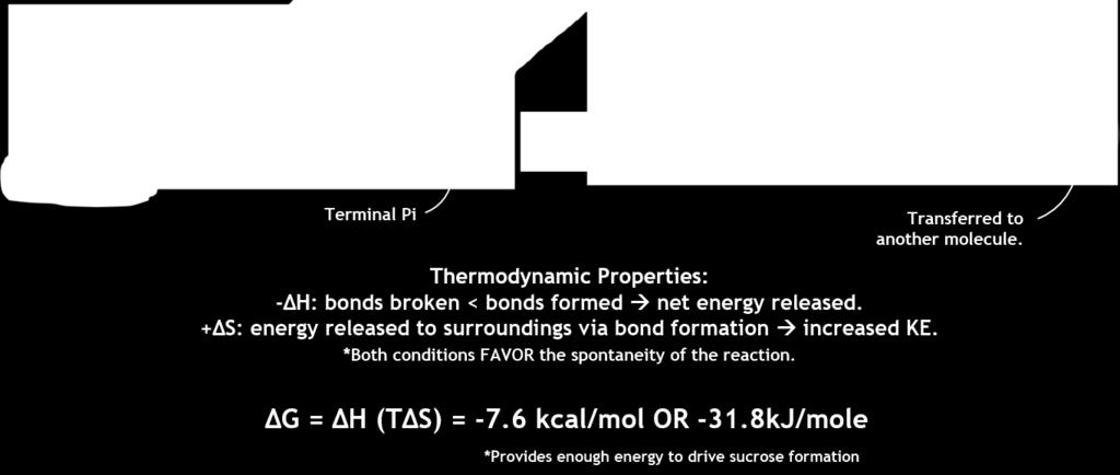 In the above reaction, more energy is consumed in the breaking of bonds than in the making of bonds (+ΔH). In addition, it results in a decrease in the entropy of the surroundings (-ΔS).