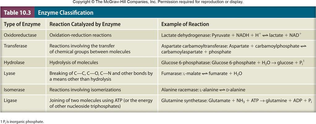 3] u Mechanism of action v Enzymes increase reaction rates without altering equilibrium constants v In simplest terms, enzymes lower a reaction s activation energy - amount of energy required for