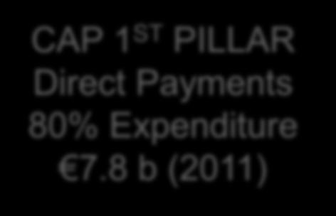 3 b (2011) CAP 1 ST PILLAR