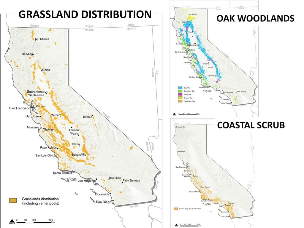 California s grasslands span over 10% of CA s land area (5,640,400 ha).