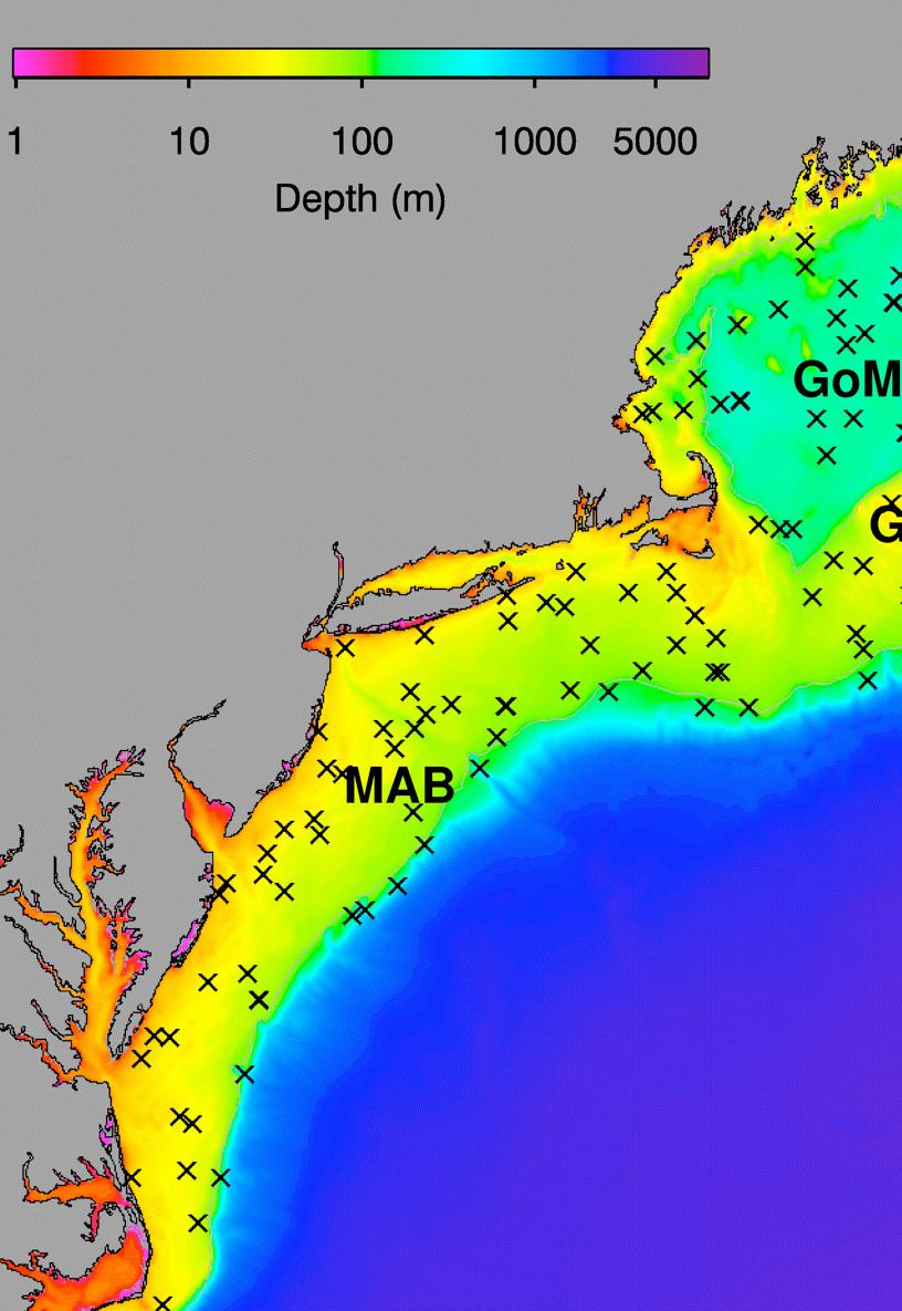 Development of Carbon Data Products for the Coastal Ocean: Implications for Advanced Ocean Color Sensors Antonio Mannino NASA Goddard Space Flight Center Greenbelt, Maryland USA Field Activities &