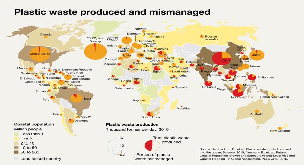 A significant proportion of plastic