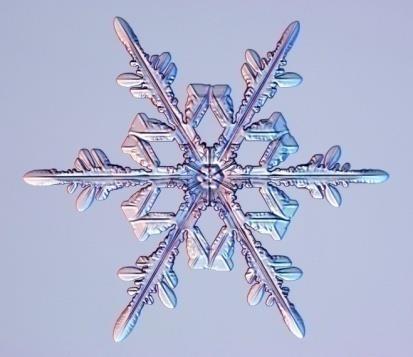 Common feature of snow flakes Snowflakes are