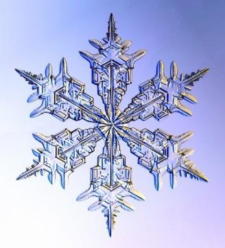 snowflakes found in nature.