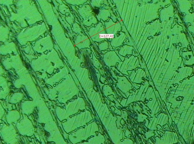 456 x 362 μm No microstructural differences due to treatment