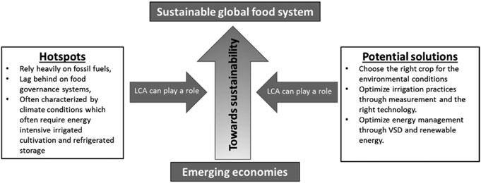 Greening Agri-food Value Chains in Emerging Economies 113 Fig.