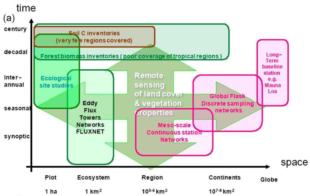 Techniques and Networks of Global Carbon Cycle