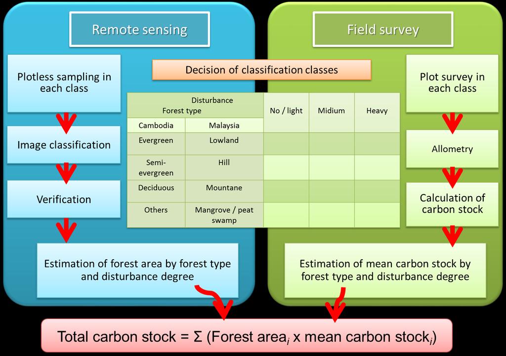 Forest Carbon Stock using