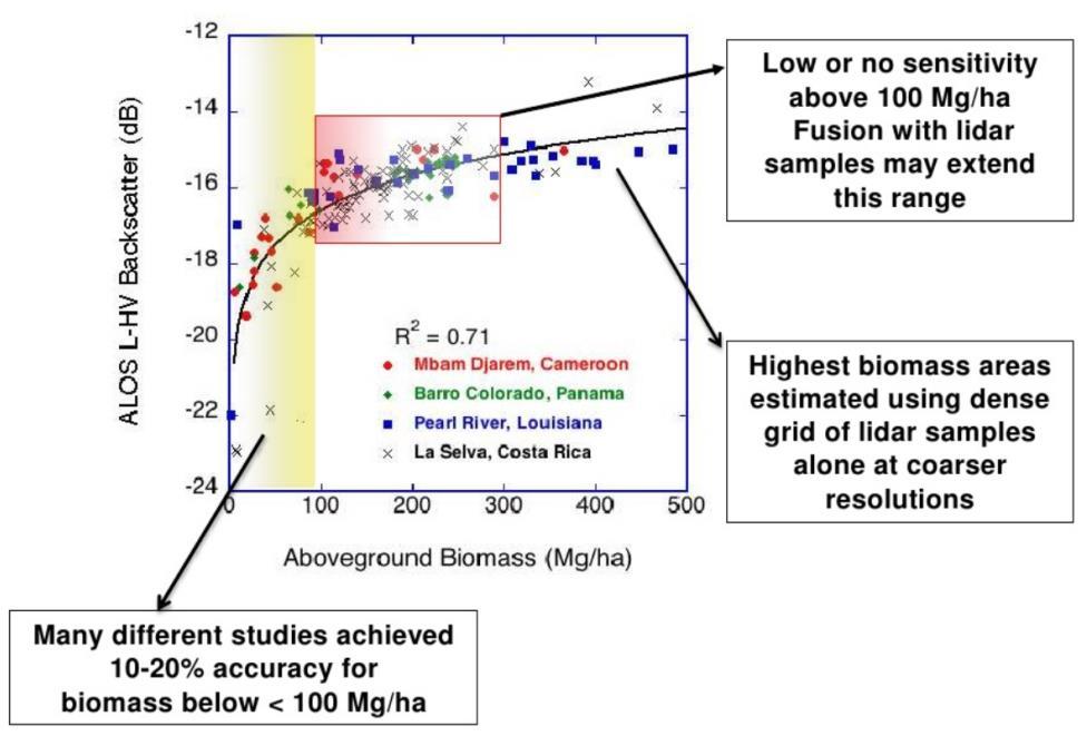 Saturation for large biomass in