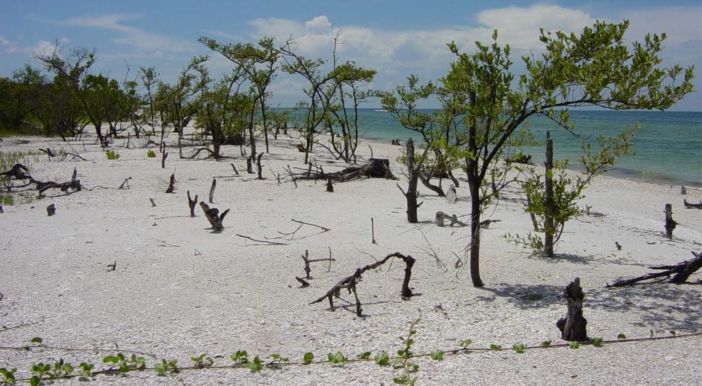 Barrier Island Instability, Erosion,