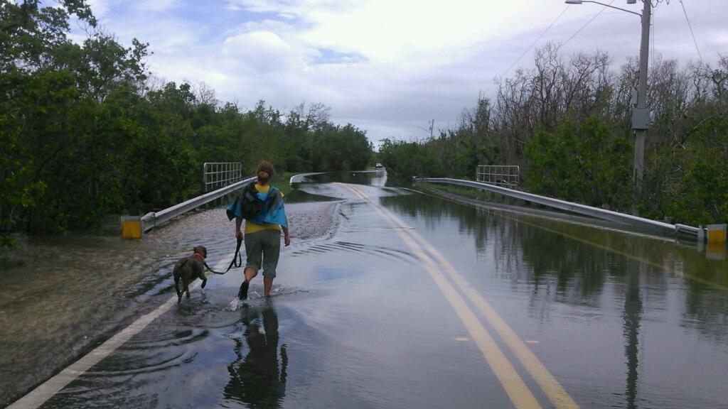 Island  Flooding:
