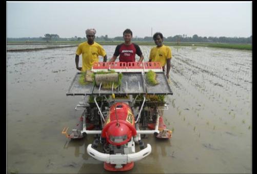 Good Practices 10: July 2015 TRANSPLANTING RICE SEEDLING USING MACHINE TRANSPLANTER: A POTENTIAL STEP FOR MECHANIZATION IN AGRICULTURE Md Sirajul Islam, M Mahbubur Rashid, Ashick Ahmed and M