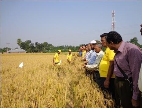 Training farmers: Though the farmers were experienced in rice cultivation, they mostly lacked knowledge on farm mechanization.