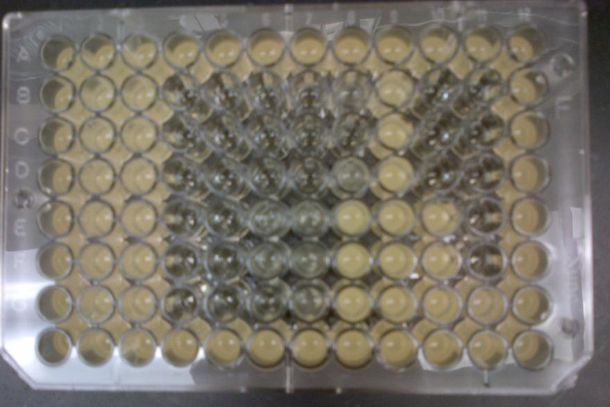 OD Recovery Plate Method The pegged lids were transferred to 96 well plates containing Tryptic Soy broth recovery medium, and incubated with shaking for 10 minutes.