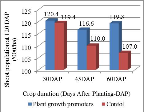 354 0.372 1.138 0.902 0.814 1.014 0.904 0.828 Days After Planting X Growth Promoter (d) 1.658 0.456 1.394 1.104 0.997 1.242 1.108 1.015 Days After Planting X Concentration (e) 2.345 0.645 1.972 1.